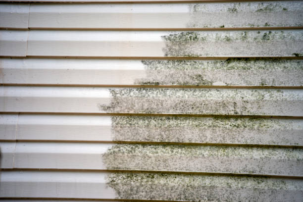 Best Same-Day Junk Removal Services  in Odell, OR